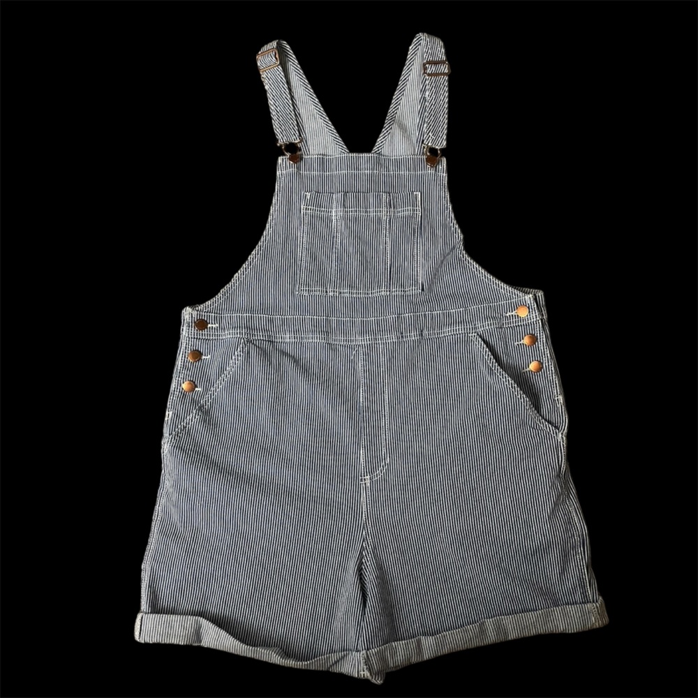 Universal Thread Blue and White Striped Overalls
